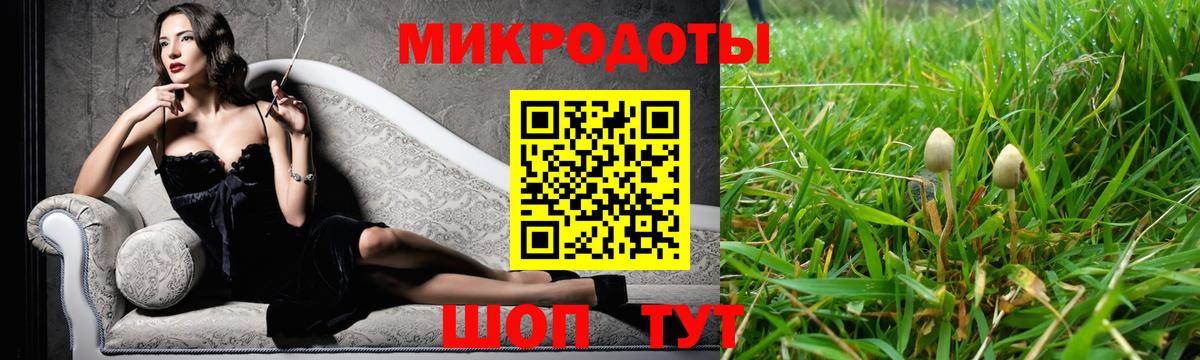 Родники  Галлюциногенные грибы Psilocybine cubensis  Вход с VPN 