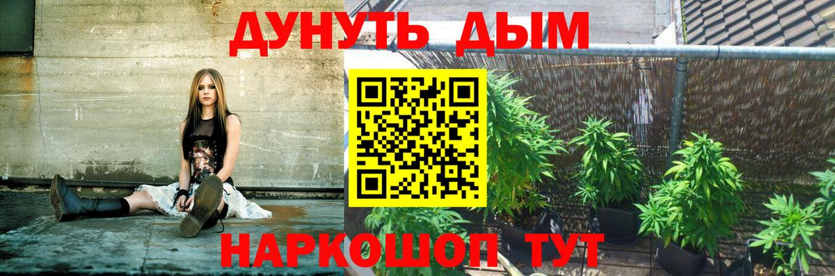 Шишки марихуана план Родники